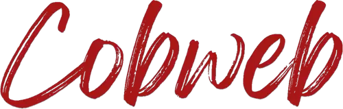 Cobweb Logo