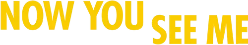 Now You See Me Logo