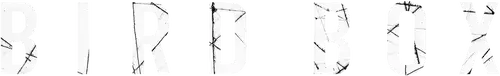 Bird Box Logo
