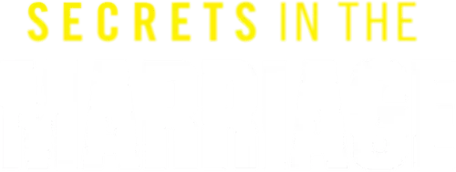 Secrets in the Marriage Logo