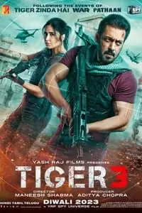 Tiger 3 Poster