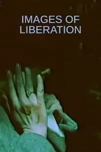 Befrielsesbilleder Poster