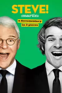 Steve! Poster