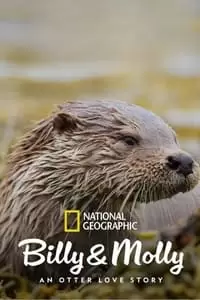 Billy & Molly: An Otter Love Story Poster