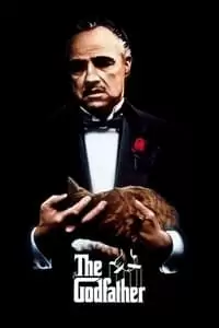 IMDb Top 250 Movies #2