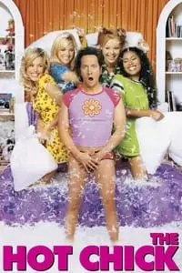 The Hot Chick Poster