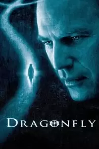 Dragonfly Poster