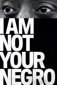I Am Not Your Negro Poster