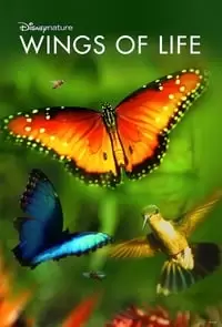 Disneynature: Wings of Life Poster