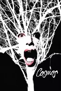 Cosmos Poster