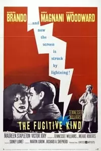 The Fugitive Kind Poster