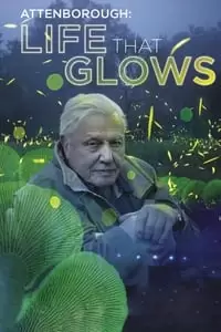 Attenborough's Life That Glows Poster