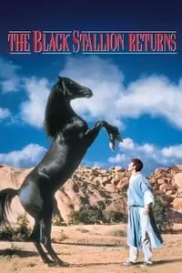 The Black Stallion Returns Poster