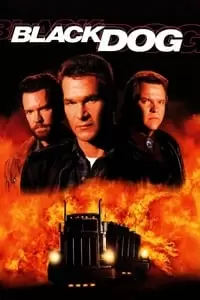 Black Dog Poster