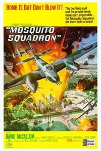 Mosquito Squadron Poster