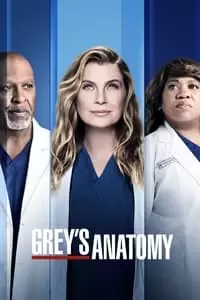 TV Trending Shows #2