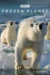 Frozen Planet Poster
