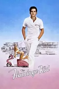 The Flamingo Kid Poster