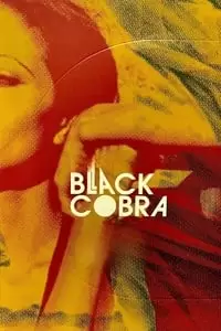 Black Cobra Poster