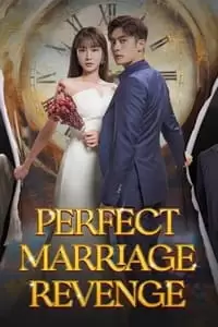 Perfect Marriage Revenge Poster