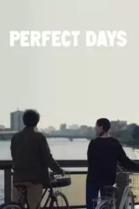Perfect Days Poster