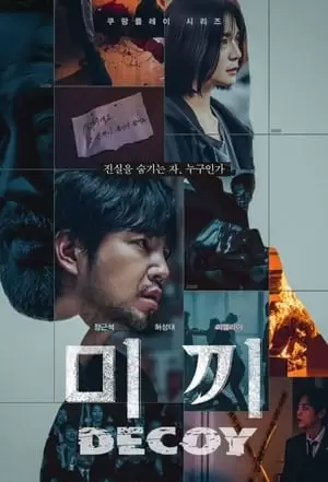 Decoy Poster