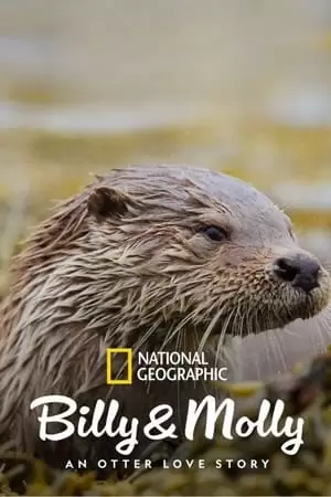 Billy & Molly: An Otter Love Story Poster
