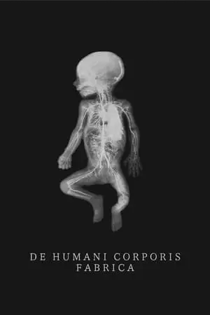 The Fabric of the Human Body Poster