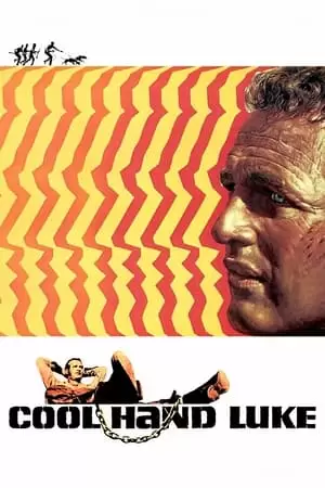 Cool Hand Luke Poster
