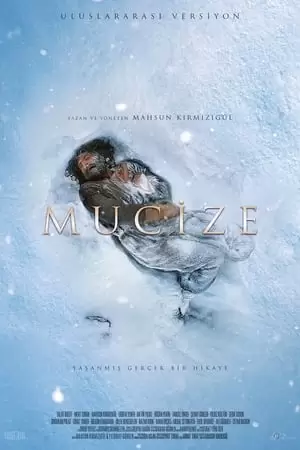 The Miracle Poster