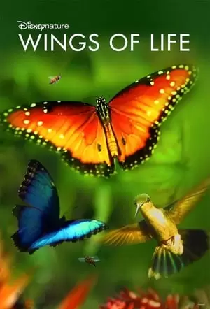 Disneynature: Wings of Life Poster