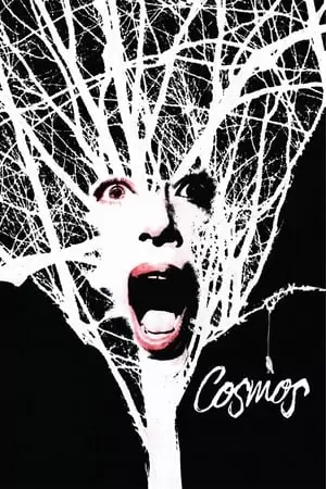 Cosmos Poster