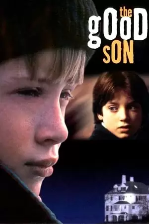 The Good Son Poster