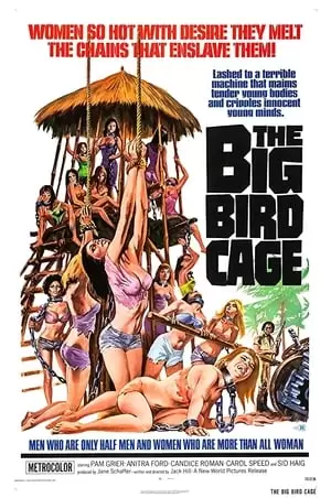 The Big Bird Cage Poster