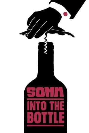 SOMM: Into the Bottle Poster
