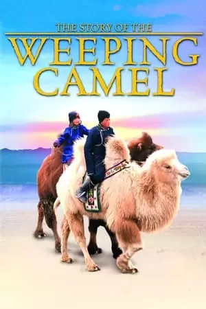 Die Geschichte vom weinenden Kamel Poster
