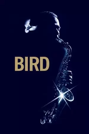 Bird Poster