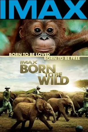 Born to Be Wild Poster