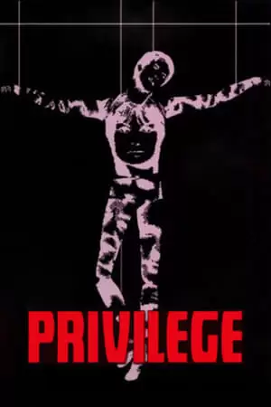 Privilege Poster
