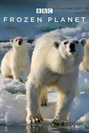 Frozen Planet Poster