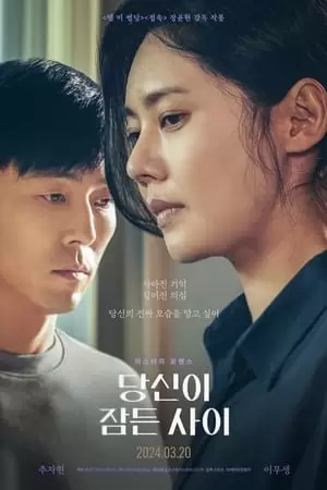 While You Were Sleeping Poster
