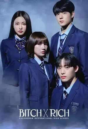 Bitch X Rich Poster