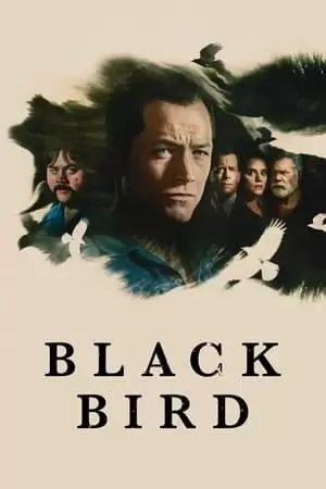 Black Bird Poster
