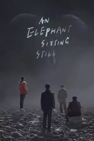 An Elephant Sitting Still Poster