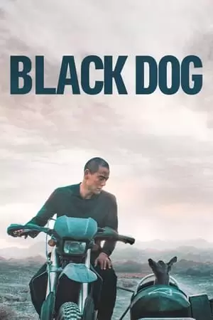 Black Dog - Weggefährten Poster